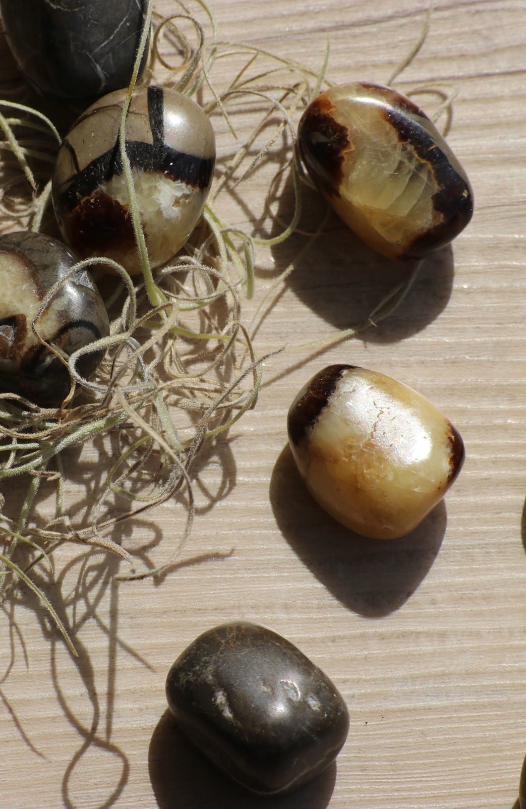 Septarian Stone  (aka Dragon Stone) Tumbled Stone